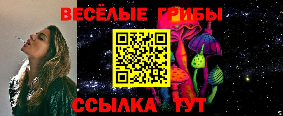 Галлюциногенные грибы ЛСД  Вход с VPN  Горячий Ключ  Галлюциногенные грибы GOLDEN TEACHER 